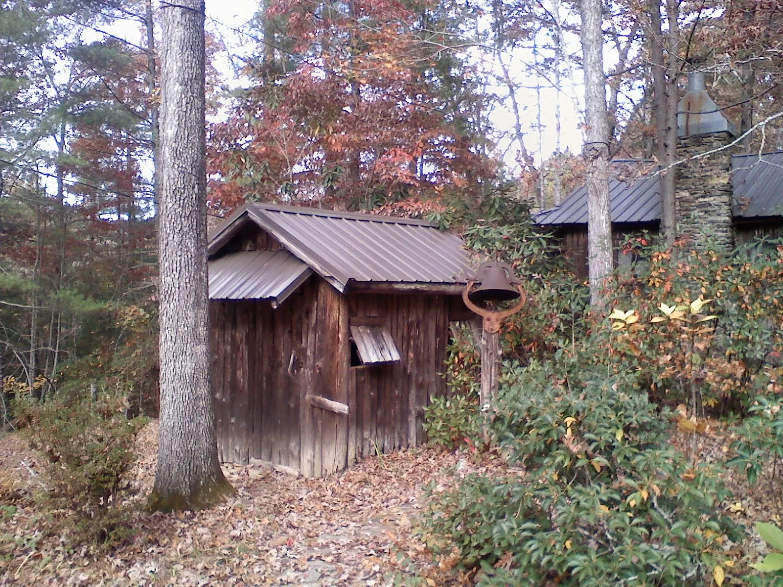 Small metal roof on a rough sawn shed in the woods in Mooresburg
