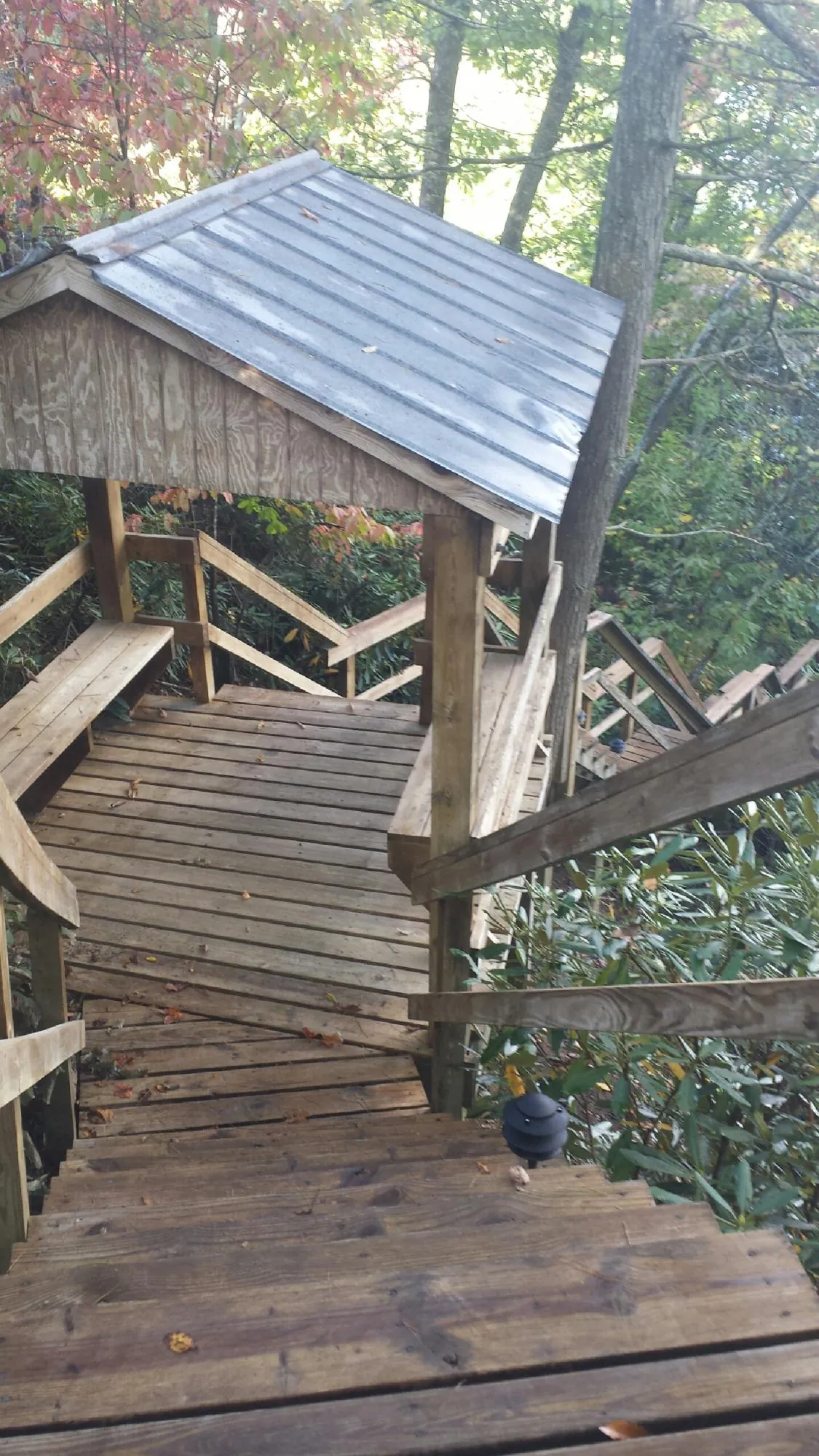 Metal roofed shelter over wooden steps on a wooded walkway — Skylight Repair & Installation work by our crew in Mooresburg